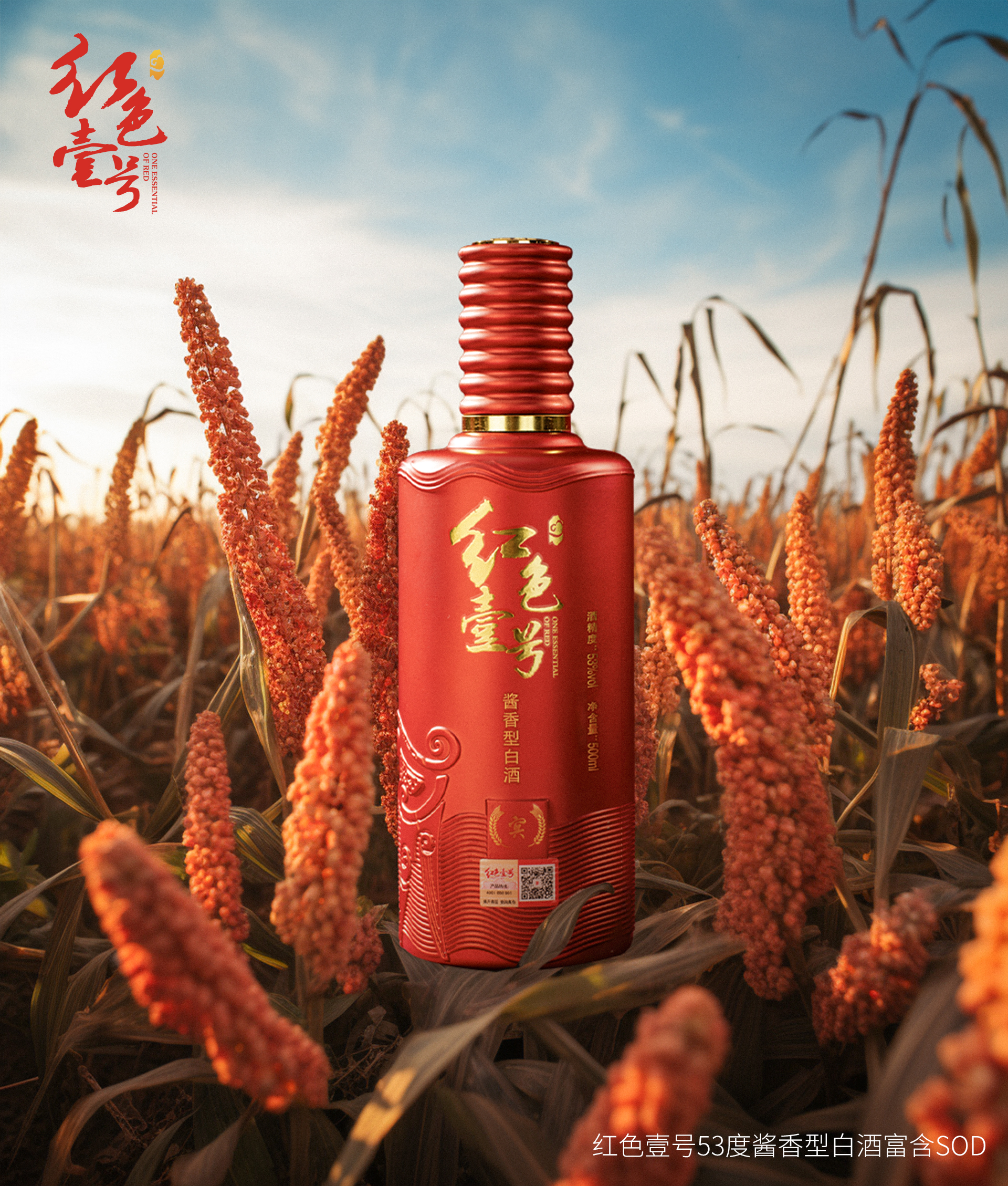 重陽下沙，正是紅色壹號釀造時節(jié)1.jpg