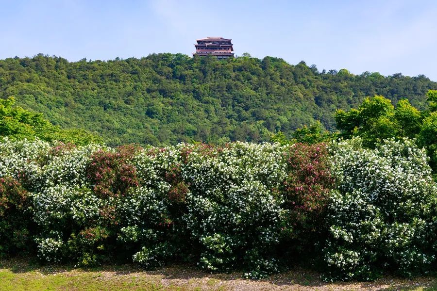 zxc (20).jpg zxc (20).jpg