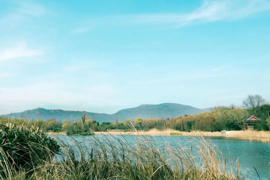山際見(jiàn)來(lái)煙，竹中窺落日。.jpg