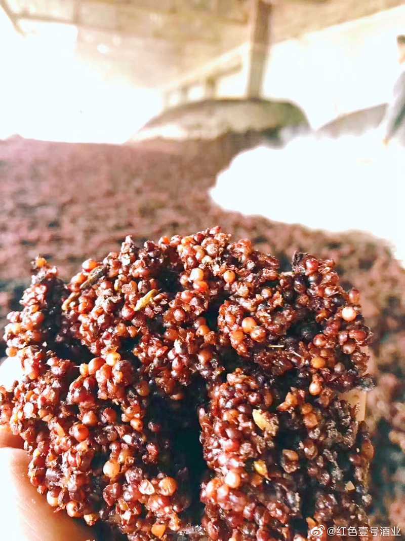 紅色壹號(hào)酒生產(chǎn)為什么要用整顆高粱(圖5)