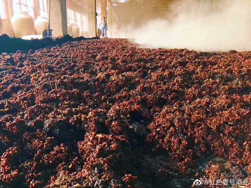 紅色壹號(hào)酒生產(chǎn)為什么要用整顆高粱(圖4)