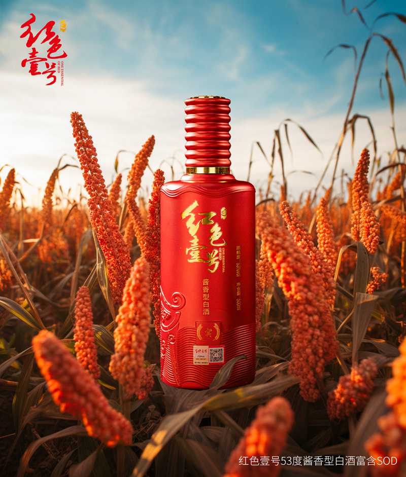 重陽下沙，正是紅色壹號釀造時節(jié)1.jpg