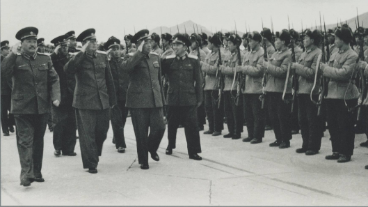 劉亞樓任職空軍司令員時(shí)，為何要在空軍大院栽種銀杏樹？_鳳凰網(wǎng)視頻_鳳凰網(wǎng)