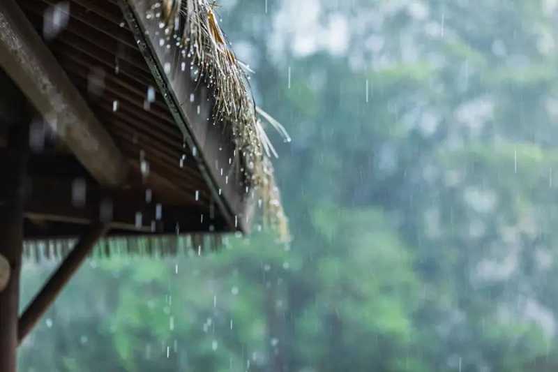 聽雨聞香，再喝一壺不求解渴的酒.jpg