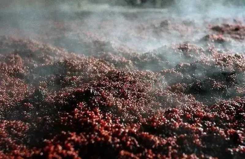 醬香是怎樣產生的.jpg