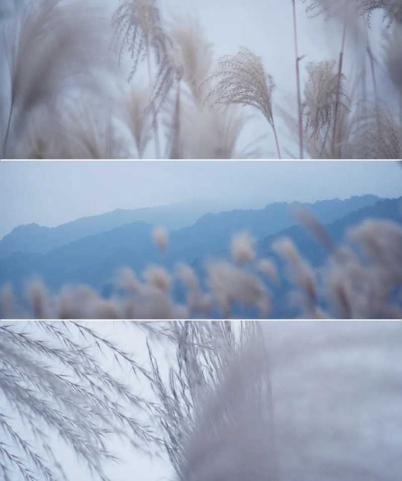 “酂白”是中國(guó)天然形成的色彩之一，是一種白中泛綠的顏色.jpg