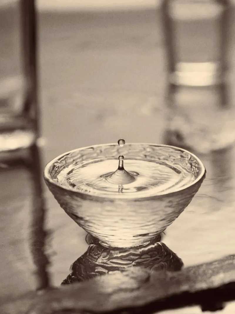 宜賓在古代為敘州府，自古就是名酒產(chǎn)地，宋代產(chǎn)出有春碧、荔枝綠兩種名酒。.jpg