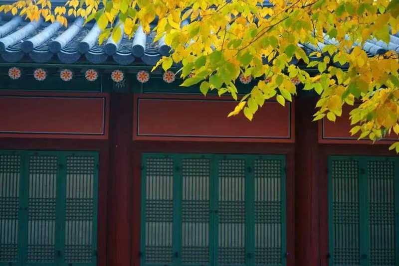 毛主席詩(shī)詞里的秋天7.jpg