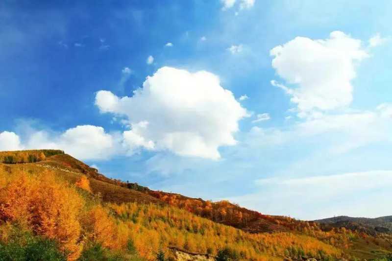 毛主席詩(shī)詞里的秋天4.jpg