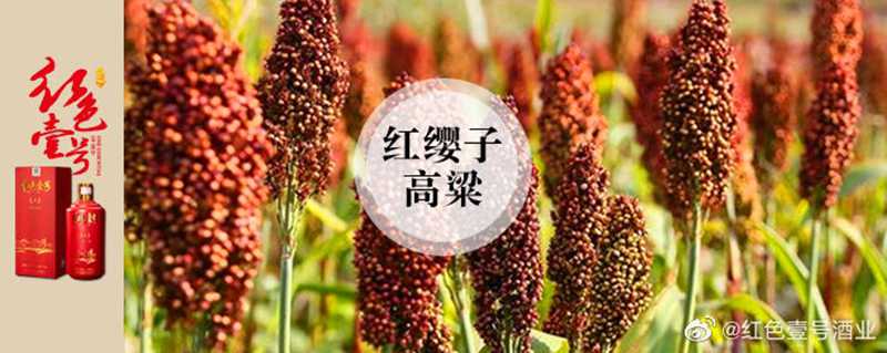 紅色壹號(hào)精品醬酒的魅力已經(jīng)征服越來越多的人，對(duì)它的了解越多，對(duì)它的喜愛也就會(huì)越深。懂與不懂醬酒，只差這篇文章。(圖4)