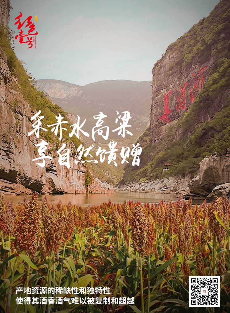 【醬酒知識(shí)】為什么喝醬酒越喝越健康？(圖6)