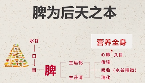 經(jīng)常熬夜，太過(guò)勞累，可身體提供不了持續(xù)的支撐，便出現(xiàn)了問(wèn)題。.png