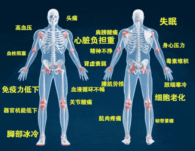 中醫(yī)基于人體五臟六腑，結(jié)合四季特征，地理位置，陰陽(yáng)調(diào)和，.gif