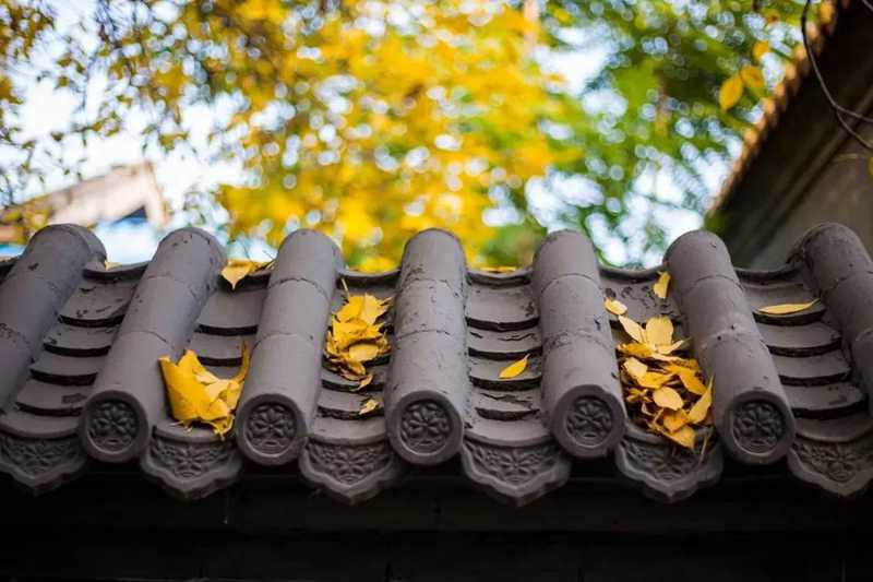 毛主席詩(shī)詞里的秋天6.jpg