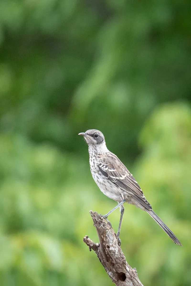 芒種114.jpg 芒種114.jpg