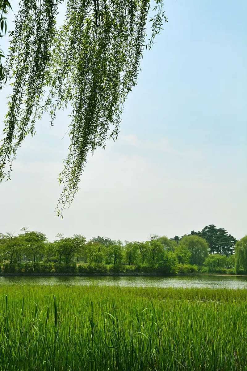 640 (17).jpg 640 (17).jpg