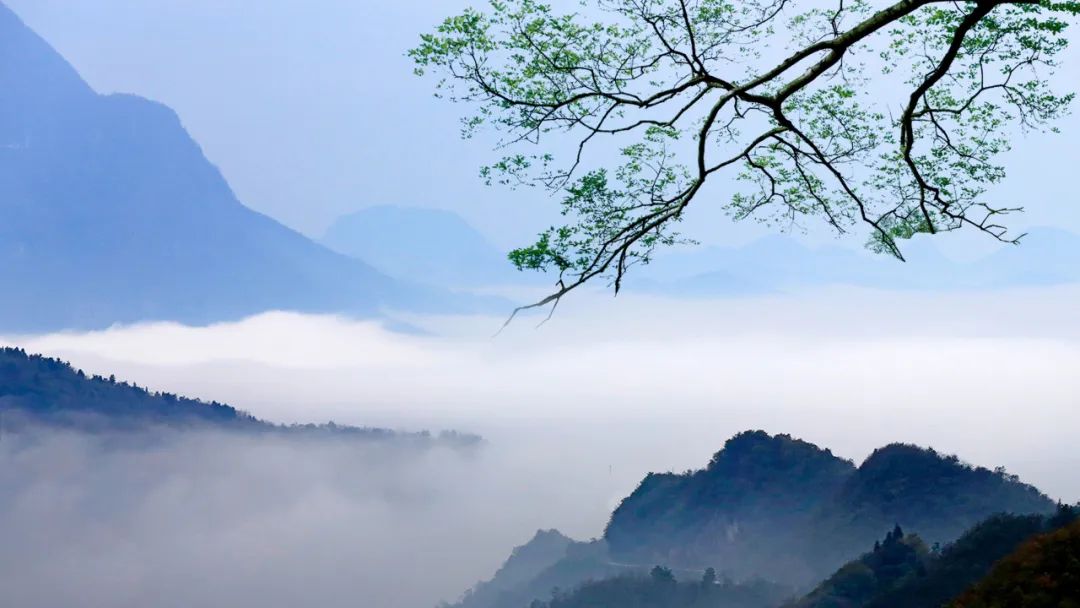 坐看百花開落遍，依然山色對清盧.jpg