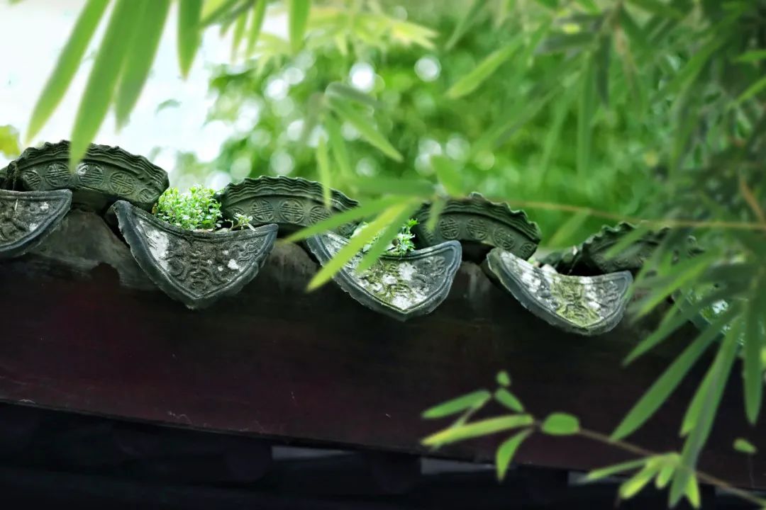 春天里，人們忙著各自的事情.jpg
