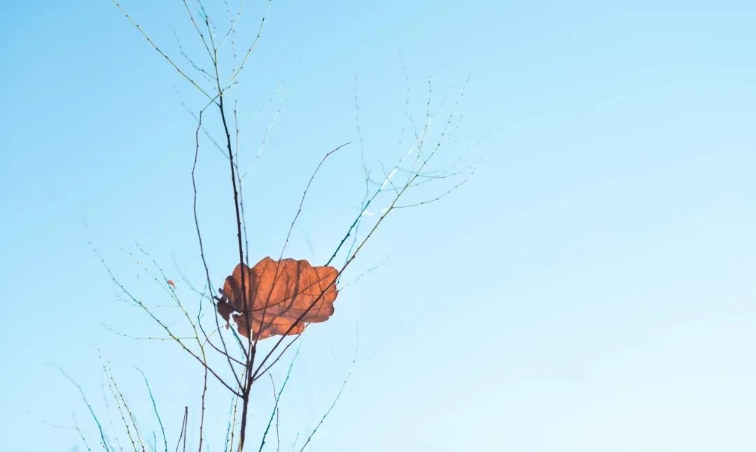 渡水復(fù)渡水，看花還看花。.jpg