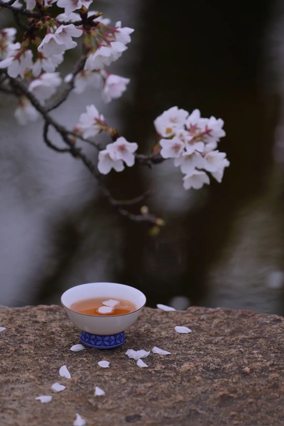 苑中誰得從春游，想見漸臺(tái)瓦欲流。.jpg