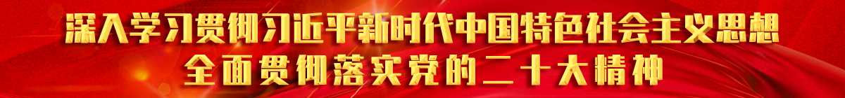 學(xué)習20大精神.png