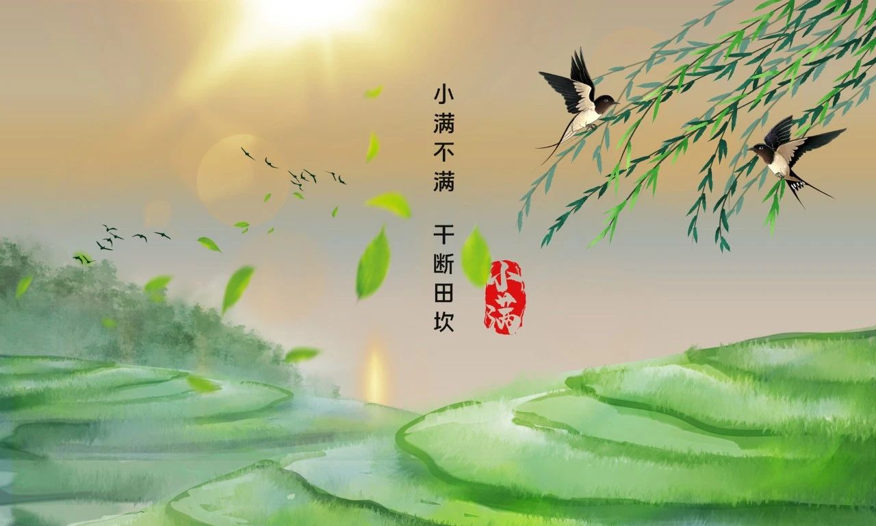 小滿不滿，干斷田坎.jpg
