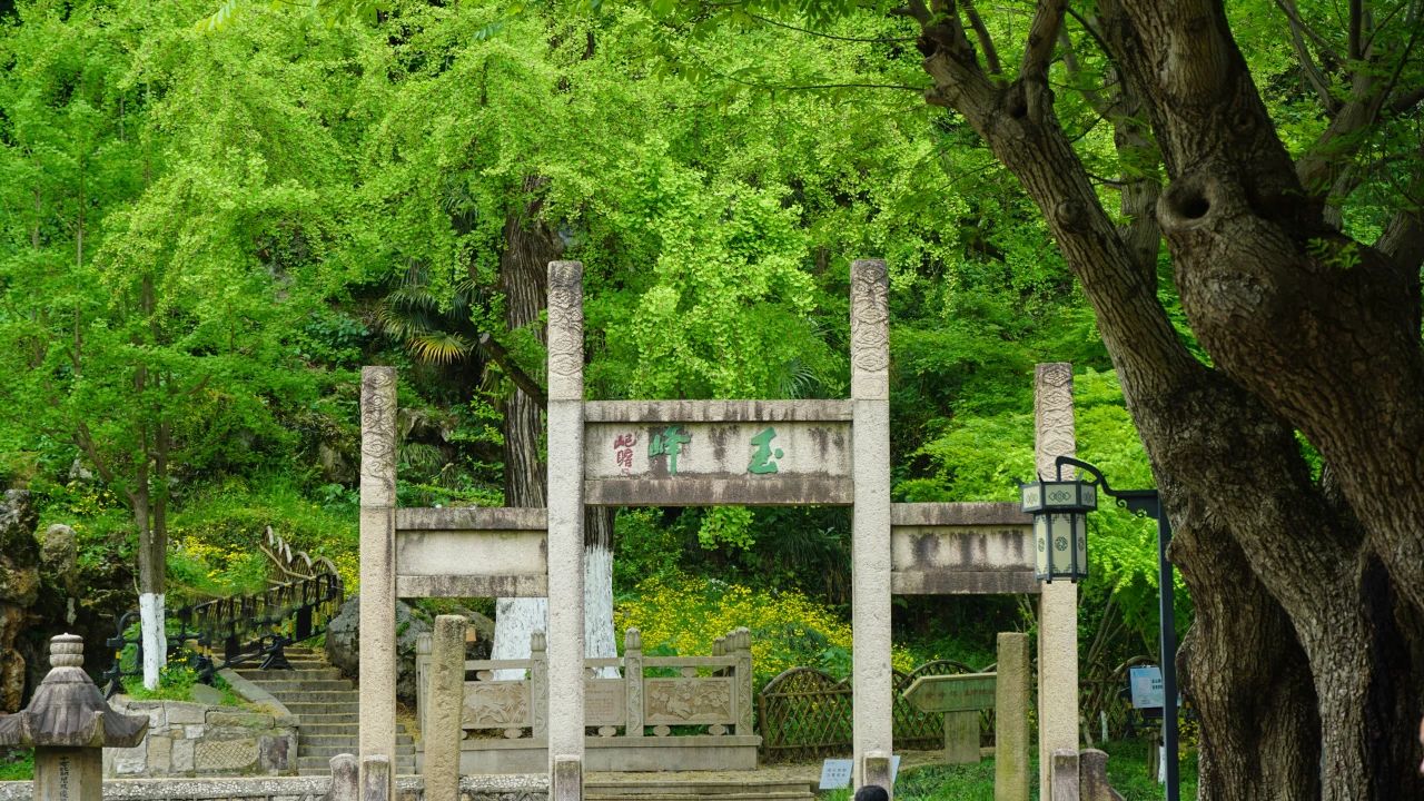 夏風中，有“獨屬于夏日”的生氣4.jpg