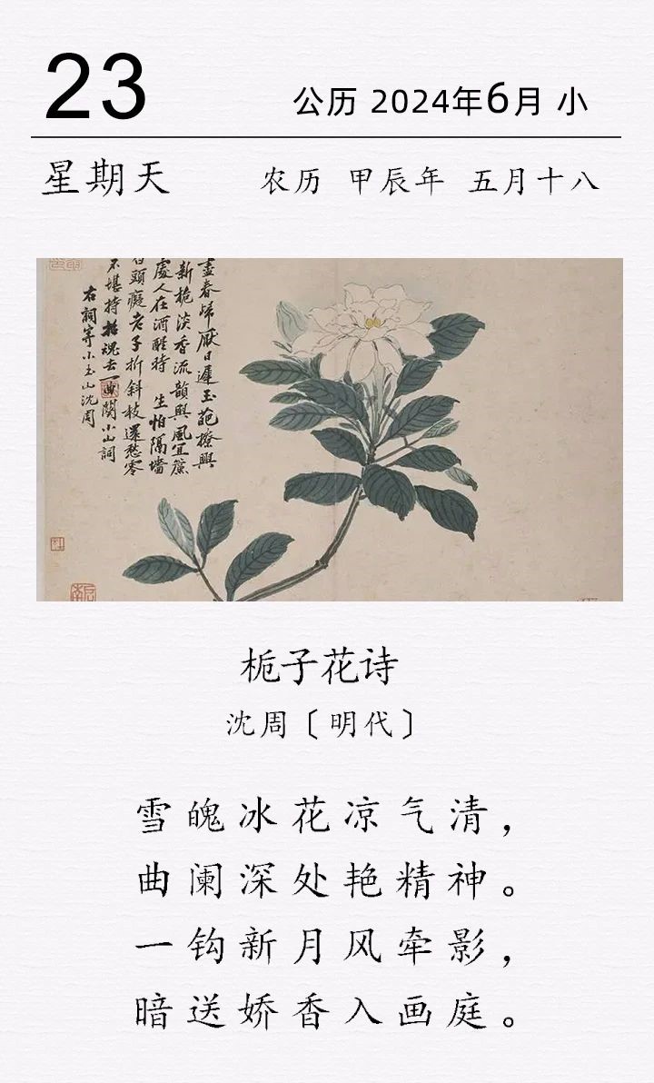 沈周《梔子花詩(shī)》.jpg