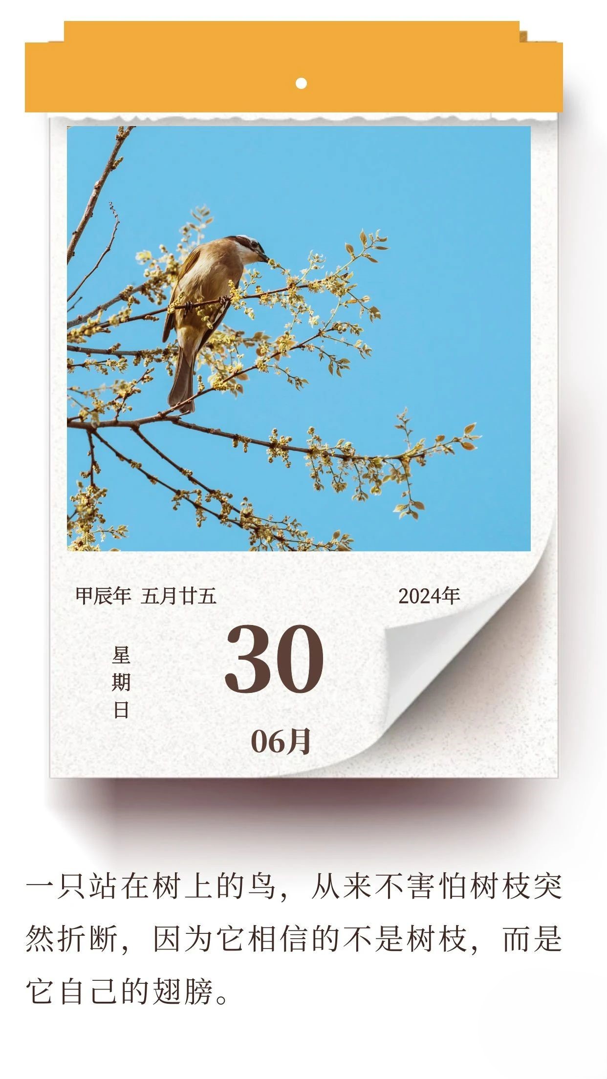 努力提升自己，比依靠他人要更可靠 .jpg