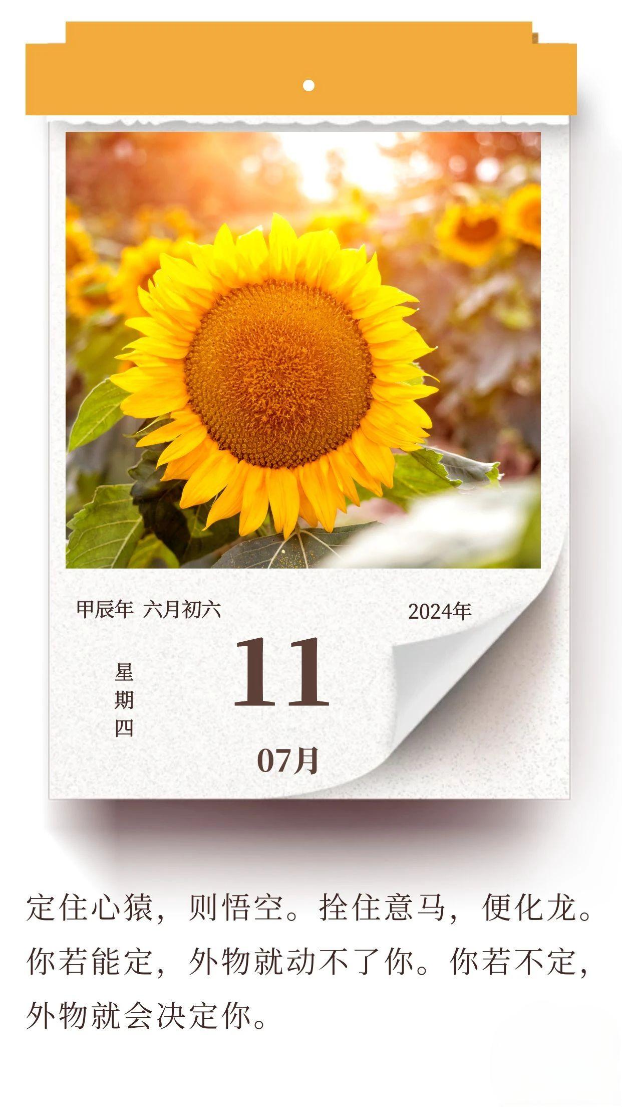 學(xué)會沉淀自己，才能活成想要的樣子.jpg