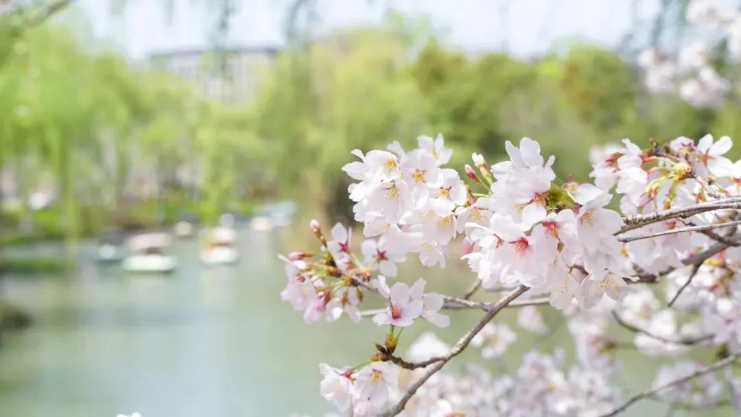 渡水復渡水，看花還看花。1.jpg