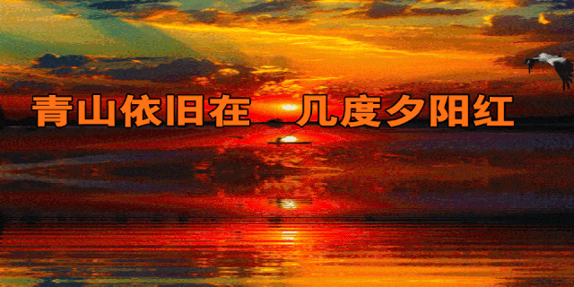 青山依舊在，幾度夕陽紅.gif